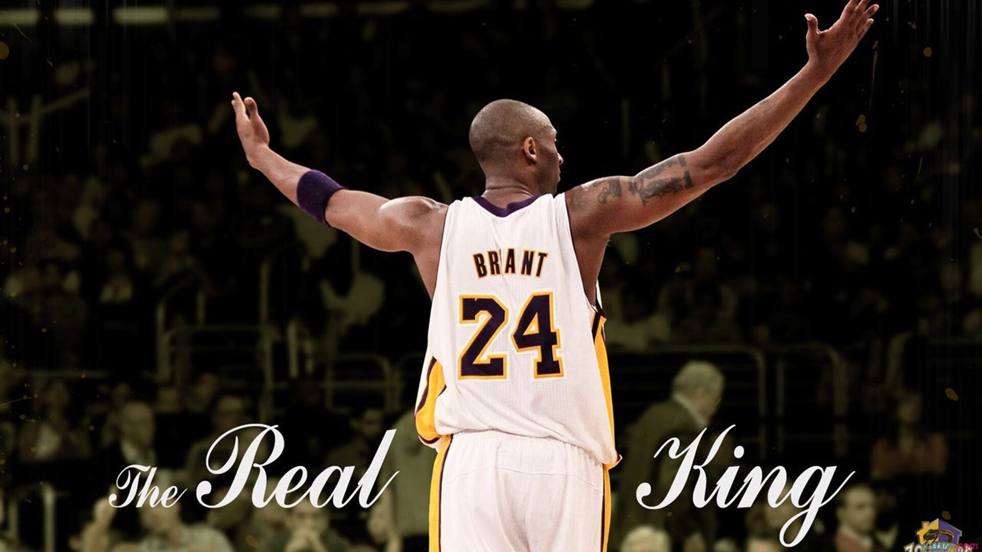 《冠军奥运篇》马龙谈热爱与追求，马龙奥运冠军视频